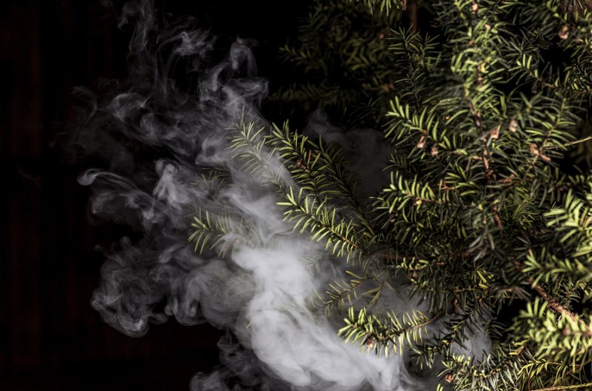 Perché scegliere le sigarette elettroniche usa e getta e perché quelle con CBD? - 
