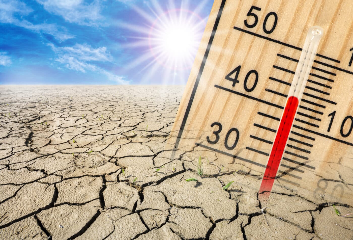 desertificazione
