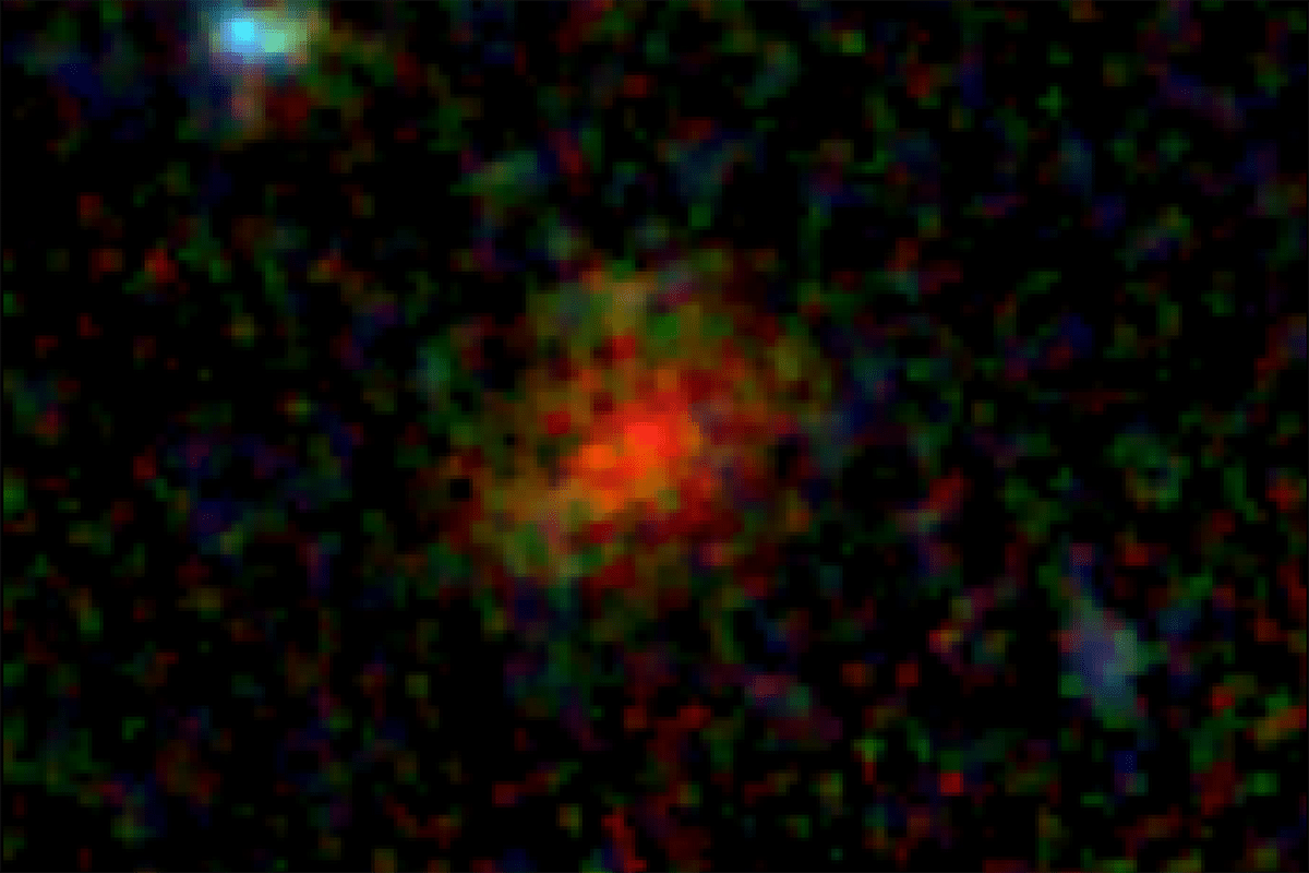 Composizione a colori della galassia AzTECC71 ottenuta tramite filtri di colore multipli dello strumento NIRCam sul Telescopio Spaziale James Webb. Credits: J. McKinney/M. Franco/C. Casey/Università del Texas ad Austin.