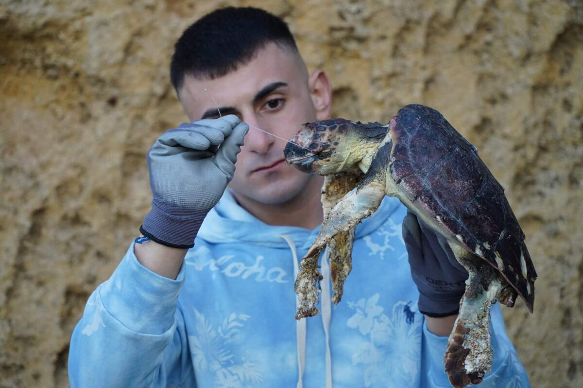 SOS tartarughe marine: l'appello di Sebastian Colnaghi per ridurre l'uso della plastica - 