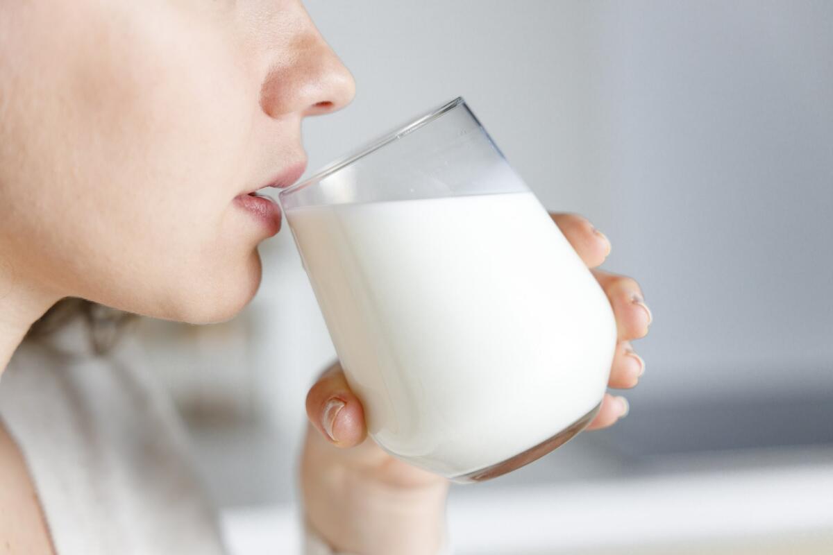 Anche il Canada autorizza la commercializzazione del latte coltivato - Young woman is drinking milk
