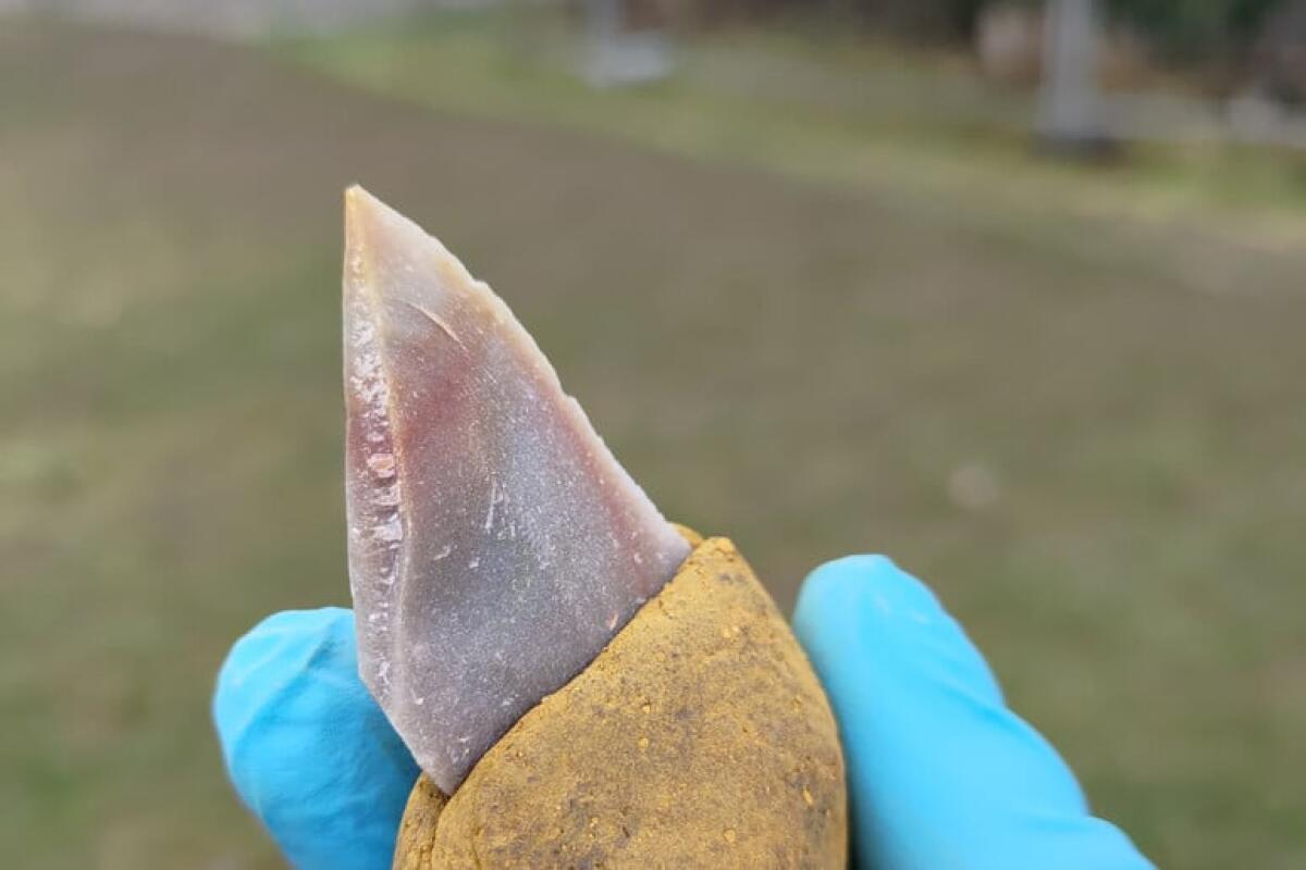 I Neanderthal usavano la colla per impugnare meglio gli strumenti - 