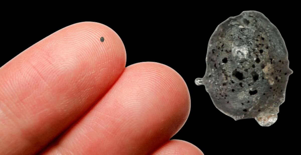 La rarissima meteorite trovata in Italia con all'interno un materiale "impossibile" - 