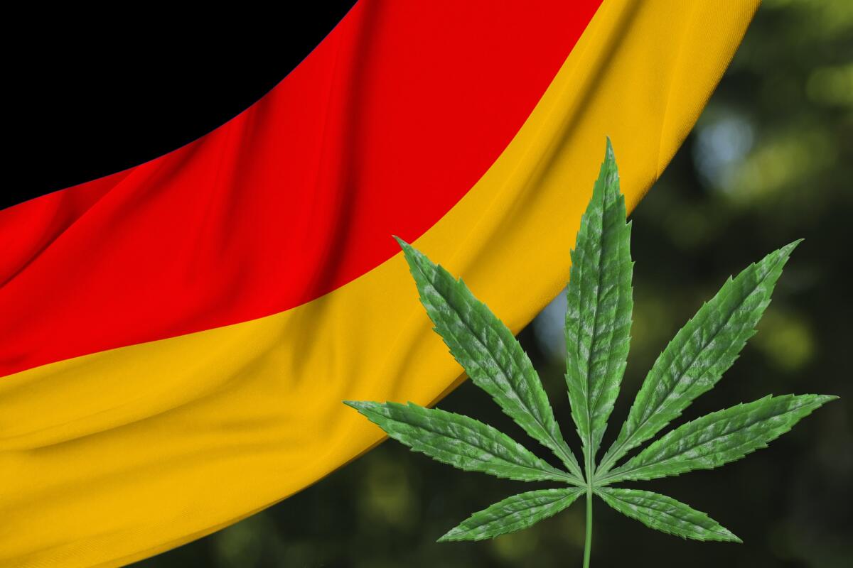 Dal 1° aprile in Germania sarà legale il possesso e la coltivazione di cannabis per uso personale - green leaf of hemp and the beautiful silk national flag of Germany, the concept of medical cannabis, legalization of drugs, drug trafficking crimes, close-up