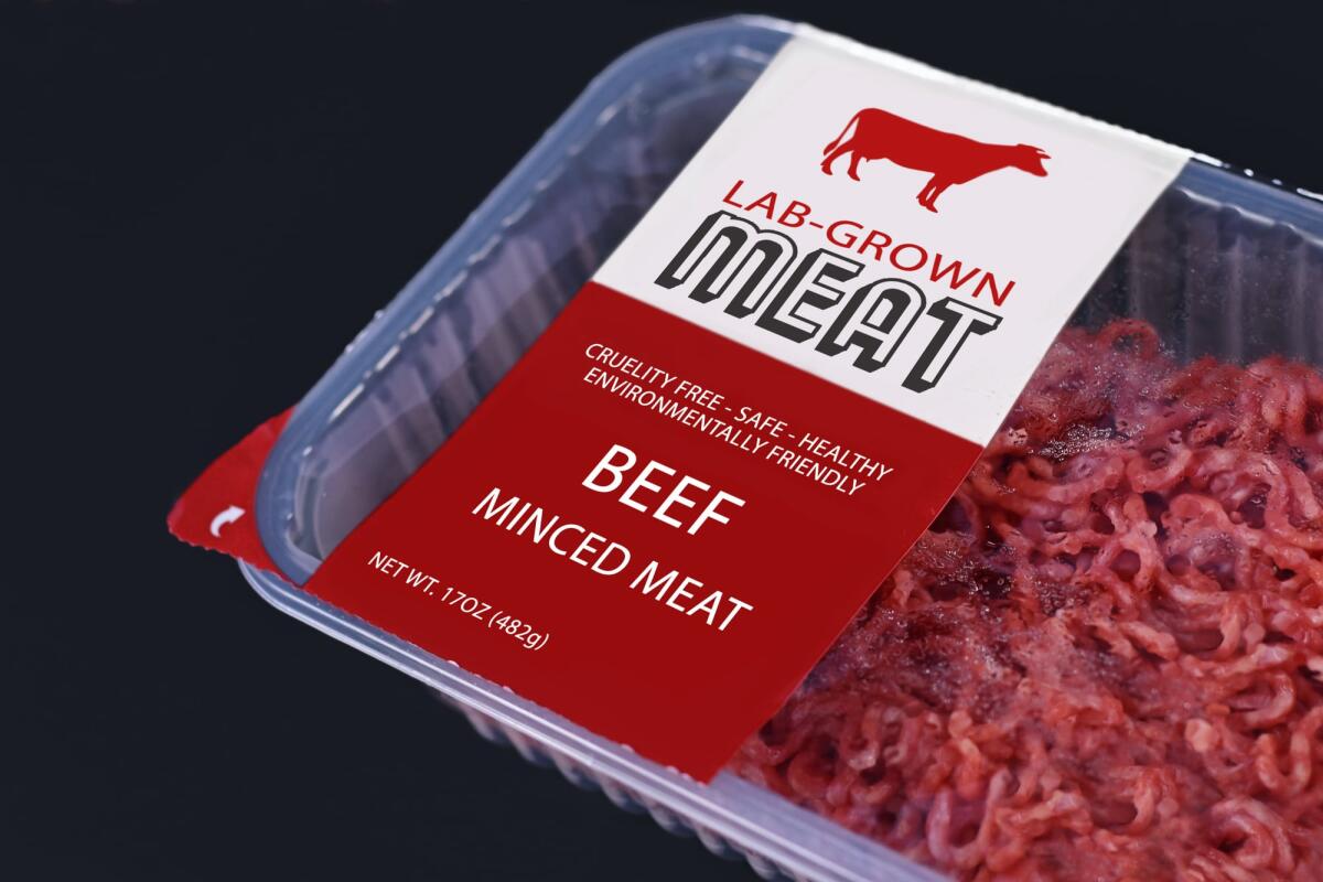 Carne coltivata: l'UE chiude in anticipo la procedura Tris relativa alla legge che vieta la sua produzione e commercializzazione - 