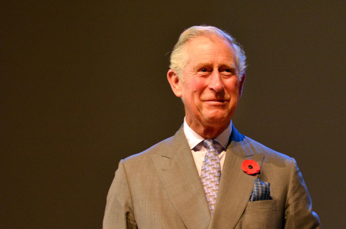 Re Carlo è malato di cancro - AUCKLAND - NOV 08 2015:Prince of Wales (C) visit in Auckland New Zealand.He is the oldest person to be next-in-line to become king of Great Britain.