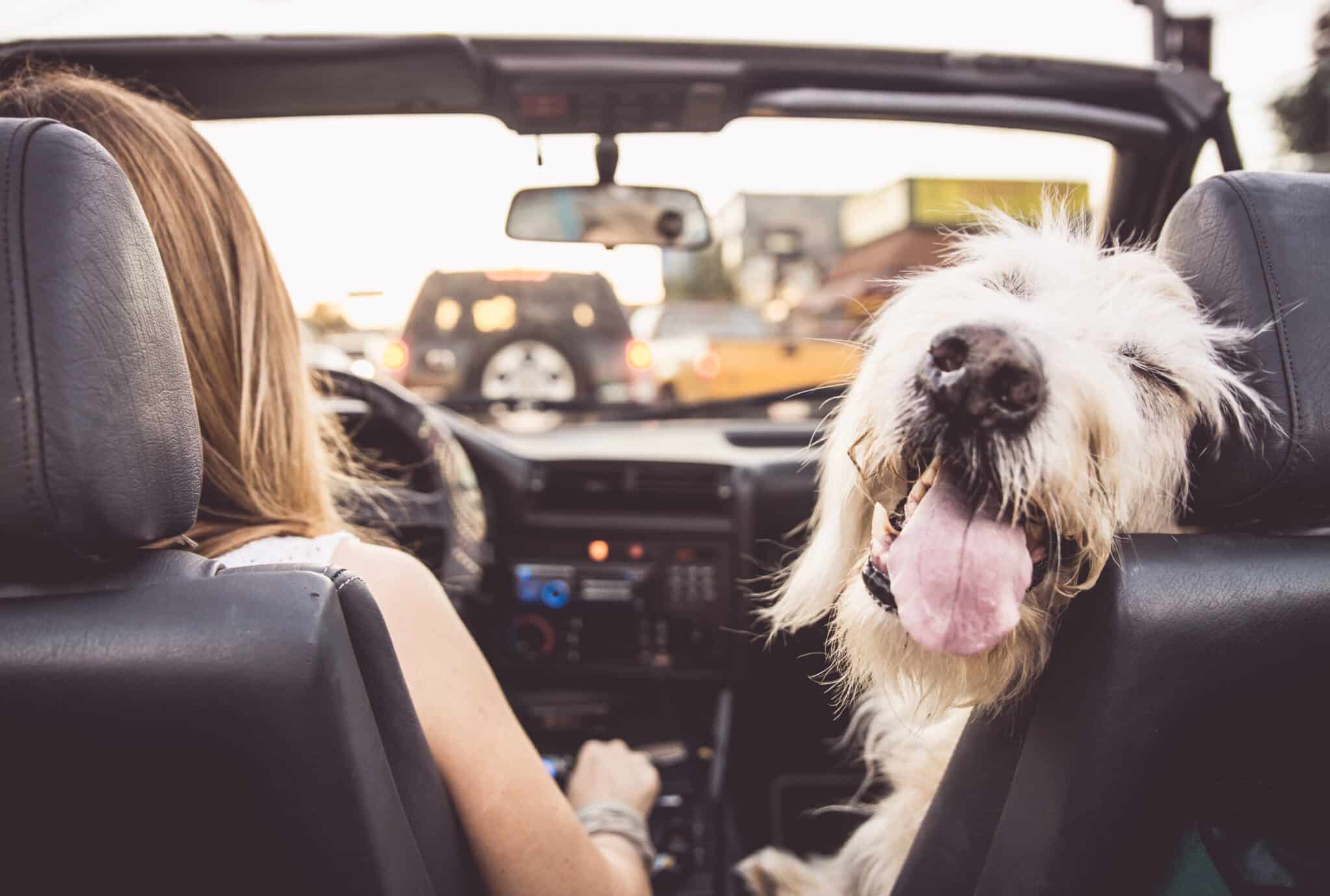 Partire per un viaggio in auto: tutto ciò che c’è da controllare