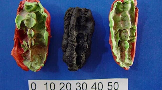 antichissime gomme da masticare