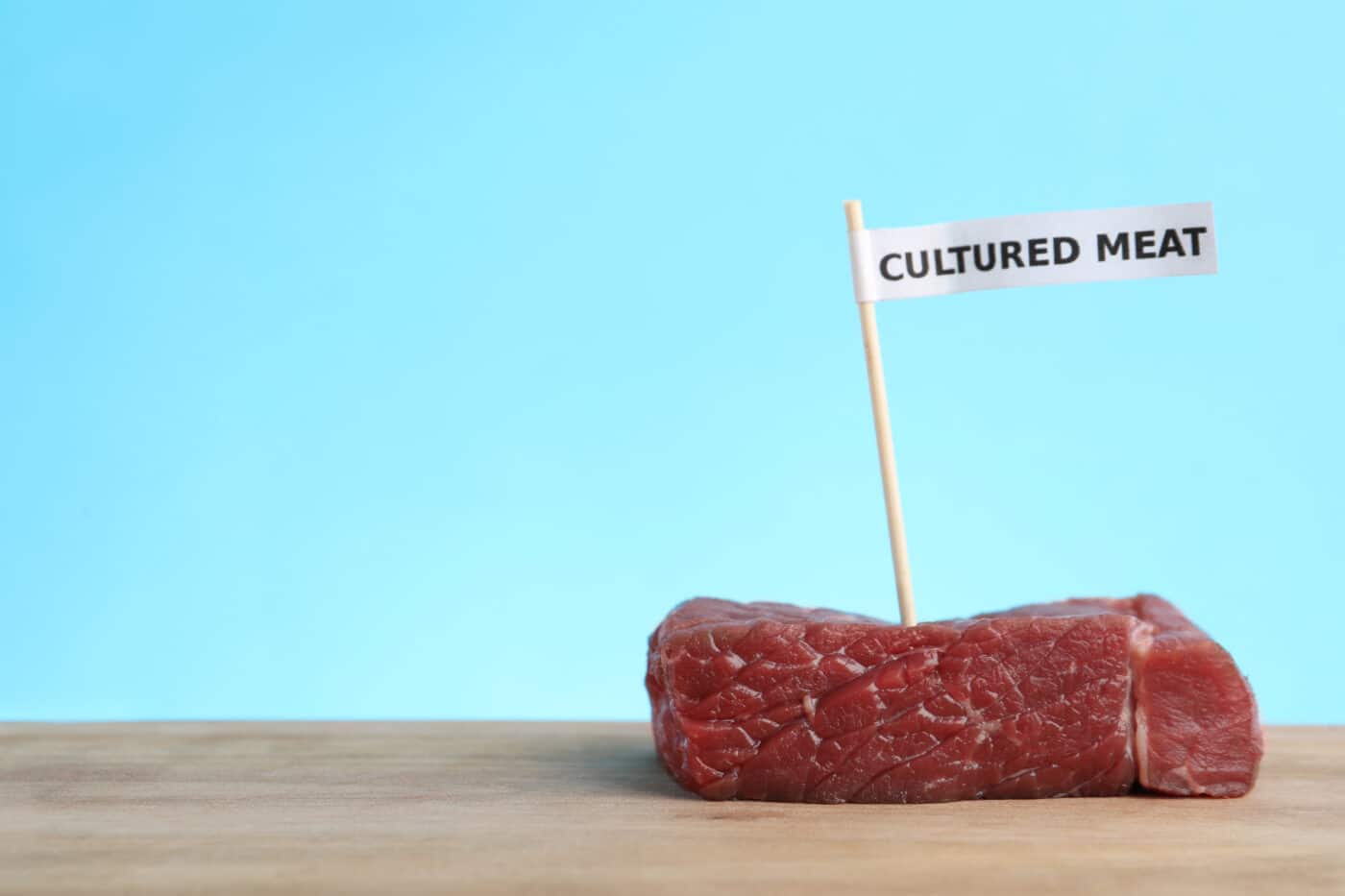 Carne coltivata UE