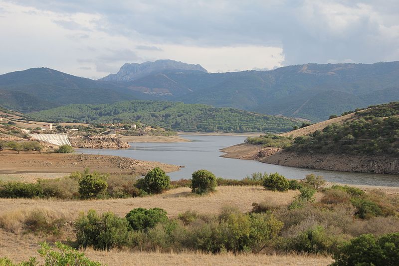 Rio Posada, in Sardegna. Fonte: Gianni Careddu, Wikipedia.