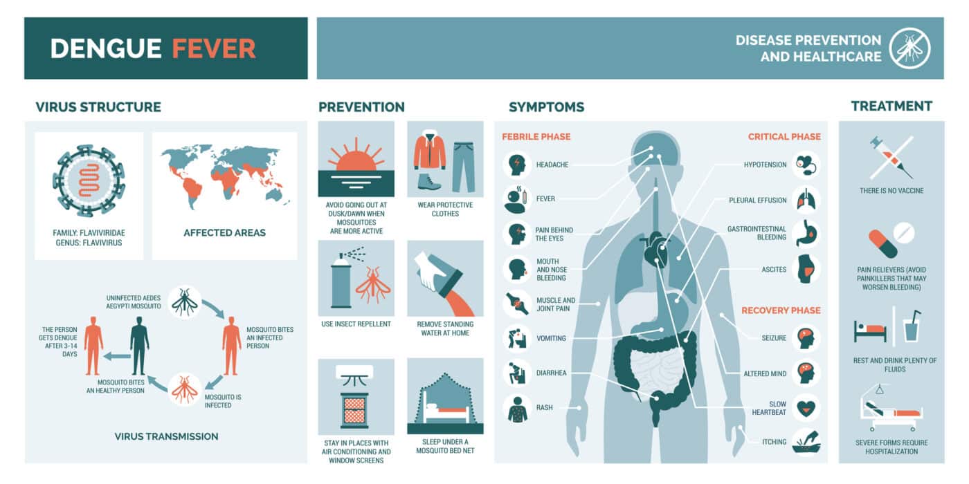 Emergenza dengue in Brasile e Argentina