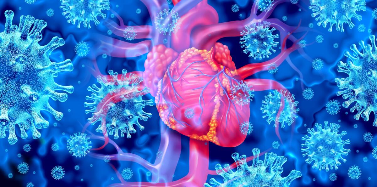 Miocardite: studio pone i virus come responsabili diretti - Miocardite