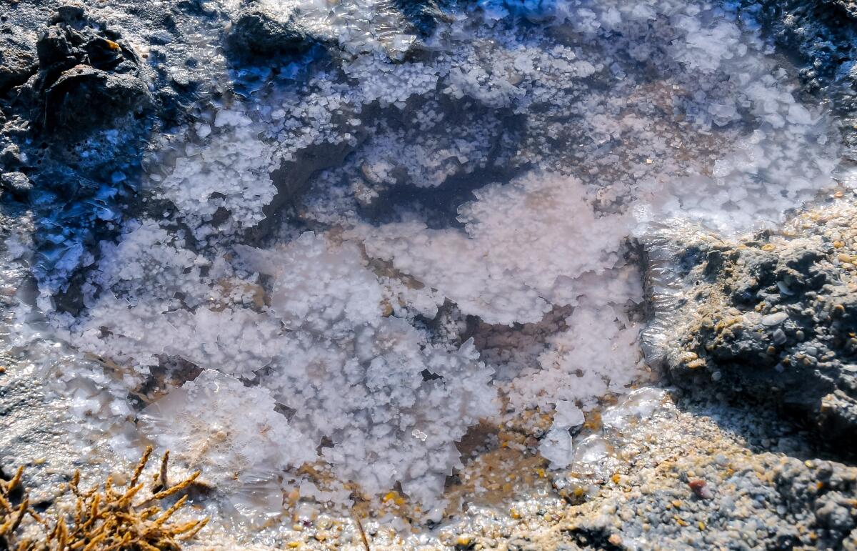 Panteteina: sintetizzata per la prima volta in laboratorio in condizioni di Terra primordiale - Crystals of self-precipitating table salt on the shore of a drying salt lake in eastern Crimea