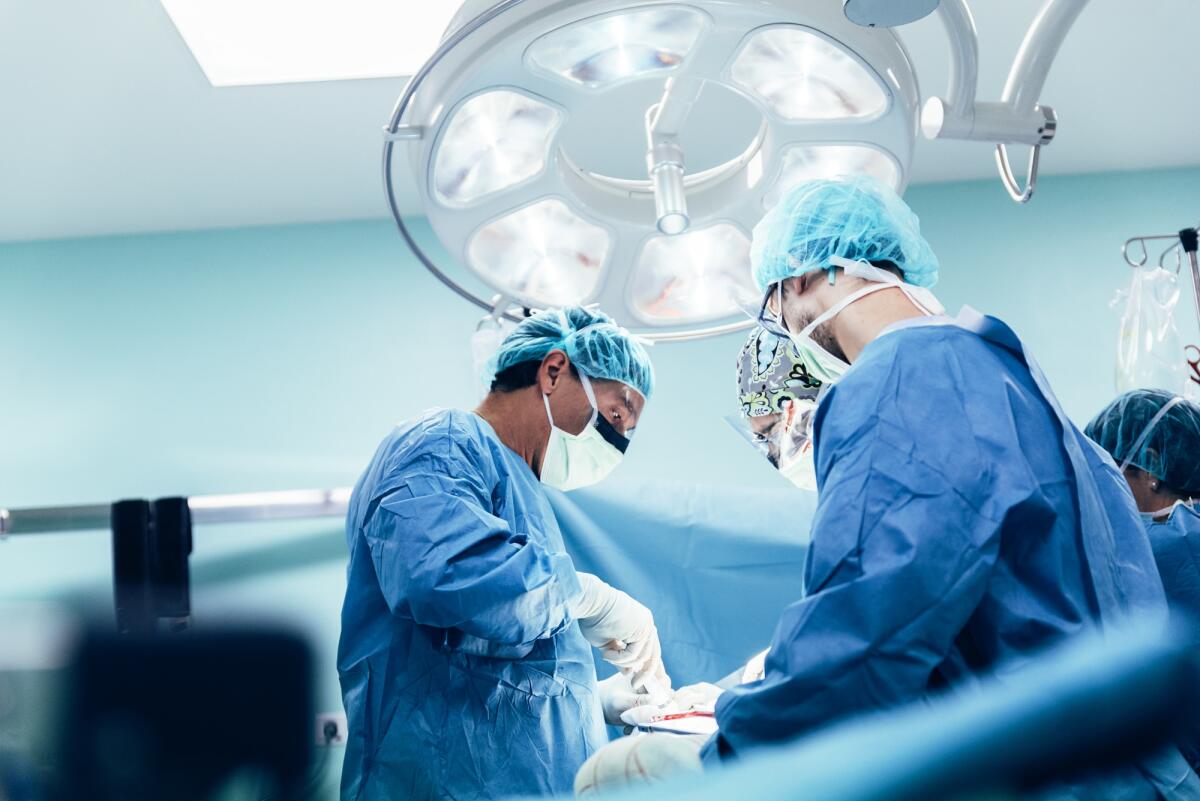 Trapiantato per la prima volta il rene di un maiale geneticamente modificato in un essere umano - Team of Surgeons Operating in the Hospital.