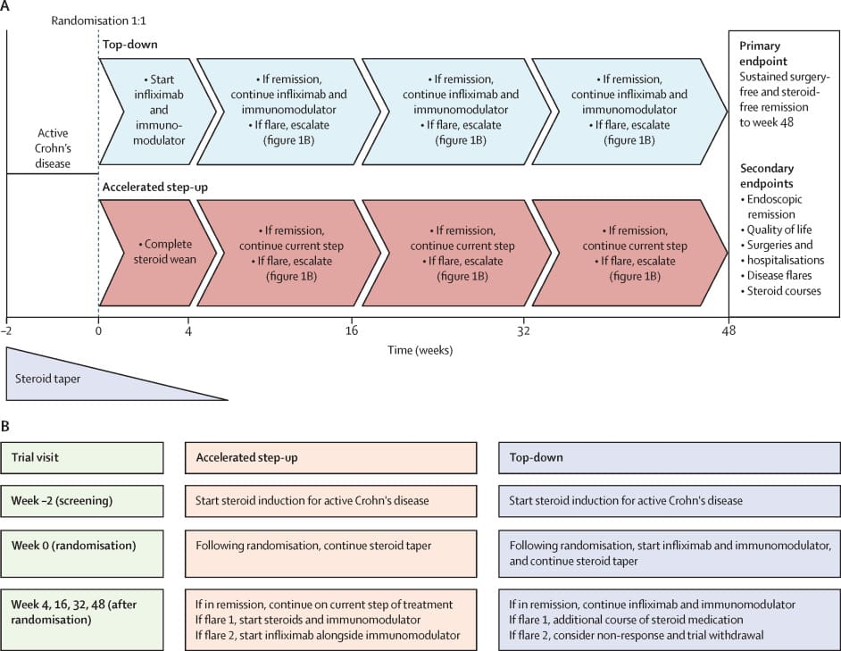 Schematizzazione del nuovo studio PROFILE sul Morbo di Crohn - Credits: The Lancet