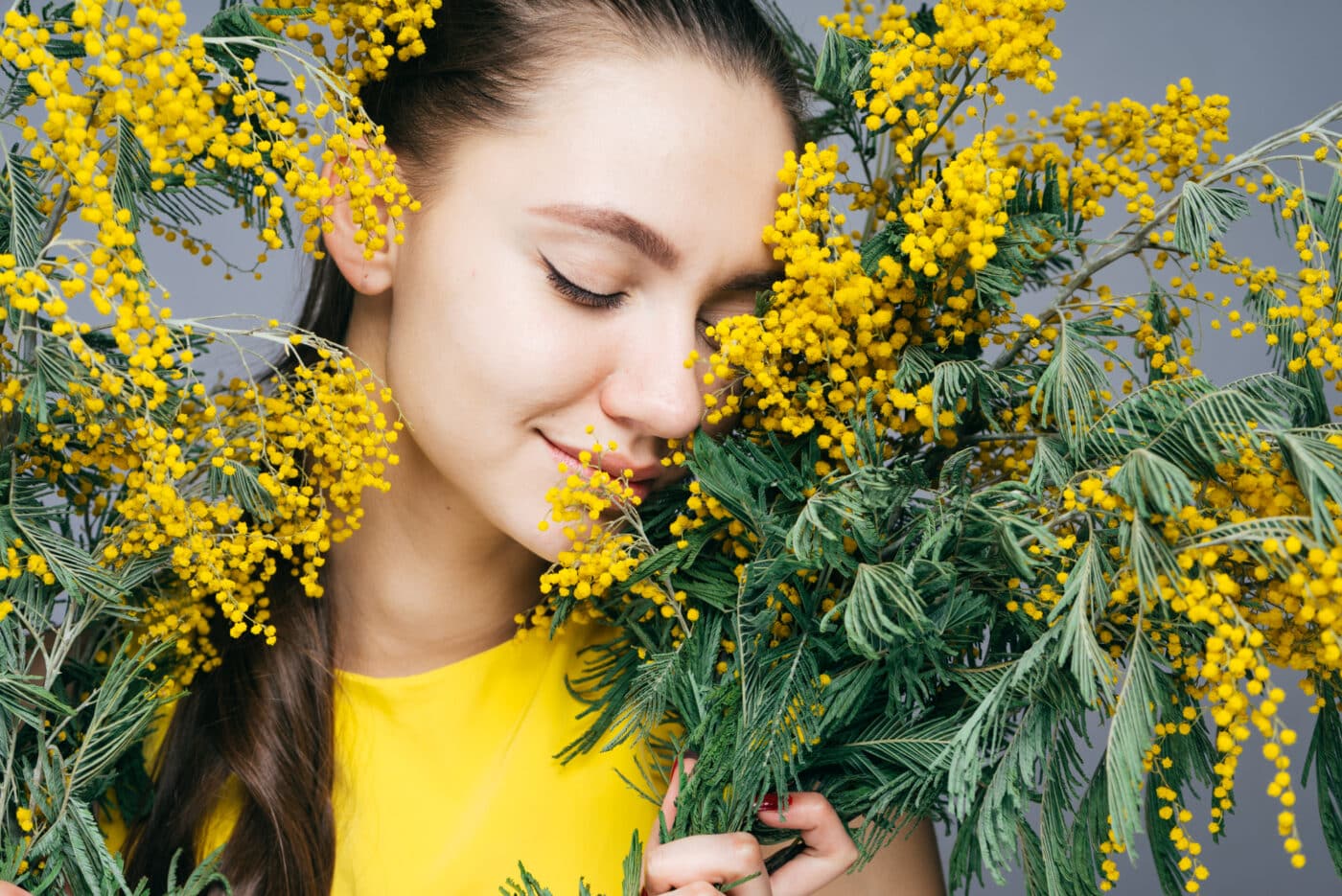 mimosa