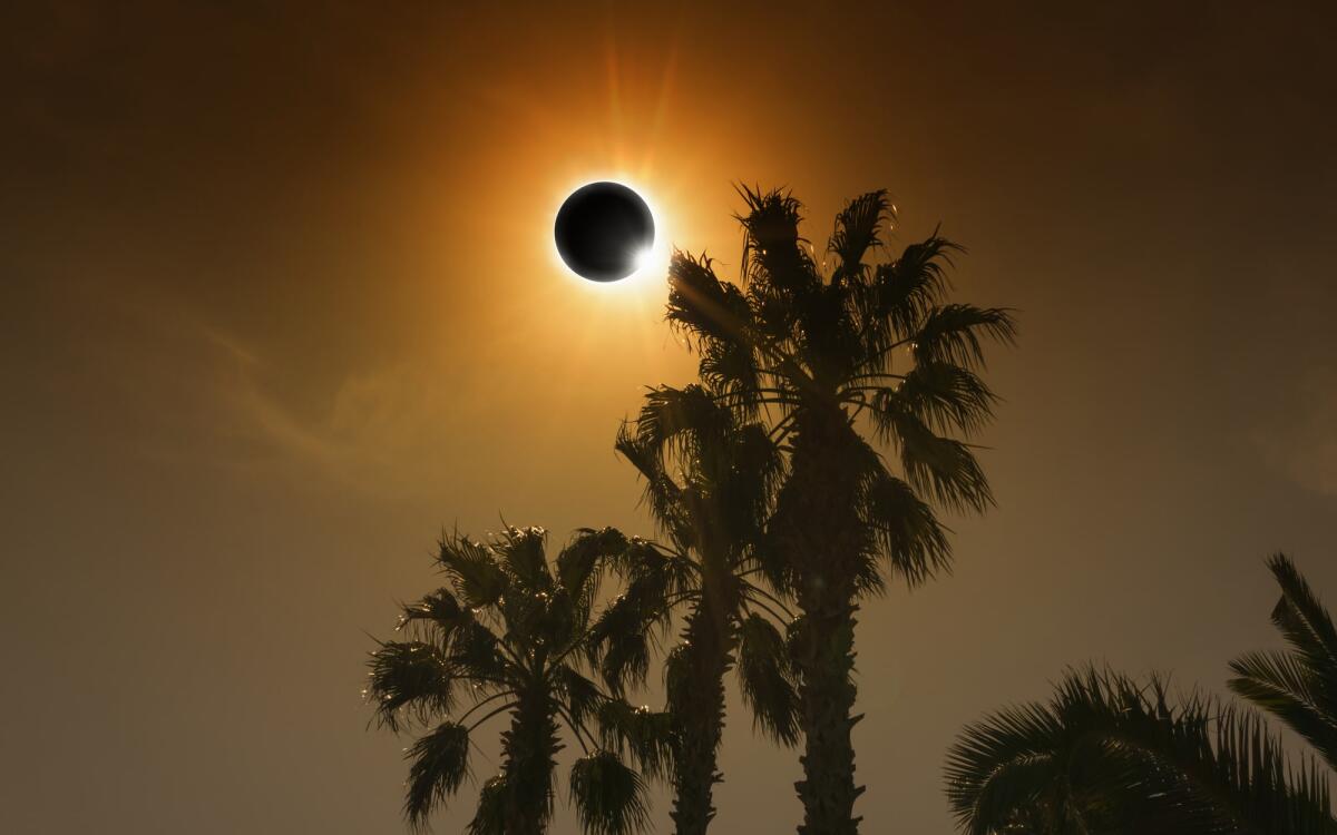 Eclissi solare totale: cos'è e quando avviene - Total solar eclipse in dark red glowing sky, amazing natural phenomenon when Moon passes between planet Earth and Sun