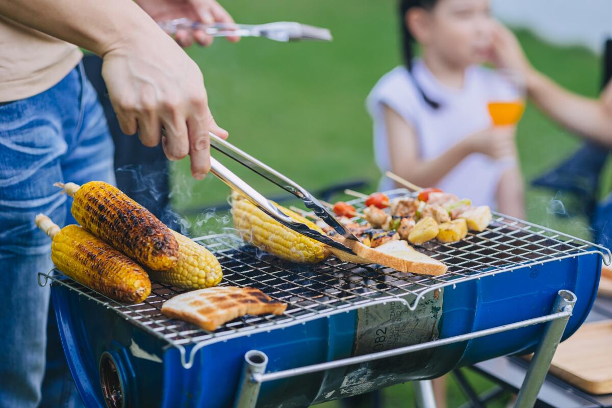 Nella comunità scientifica fervono i preparativi per la giornata di Pasquetta - Family happy meal outdoors backyard party BBQ grilled. Roasted meat and corn bread cooking at barbecue stove closeup.