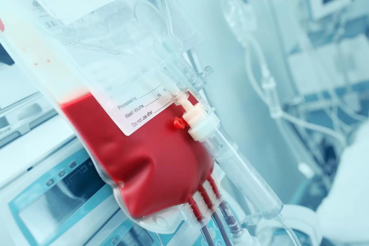 Scandalo del sangue infetto in UK: cosa è successo - 