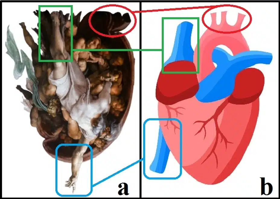 Immagine ripresa dall’articolo “Mirroring Michelangelo, finding Galen: the ancient anatomical theory of the soul and its possible influence on The Creation of Adam” · L. V. Messa