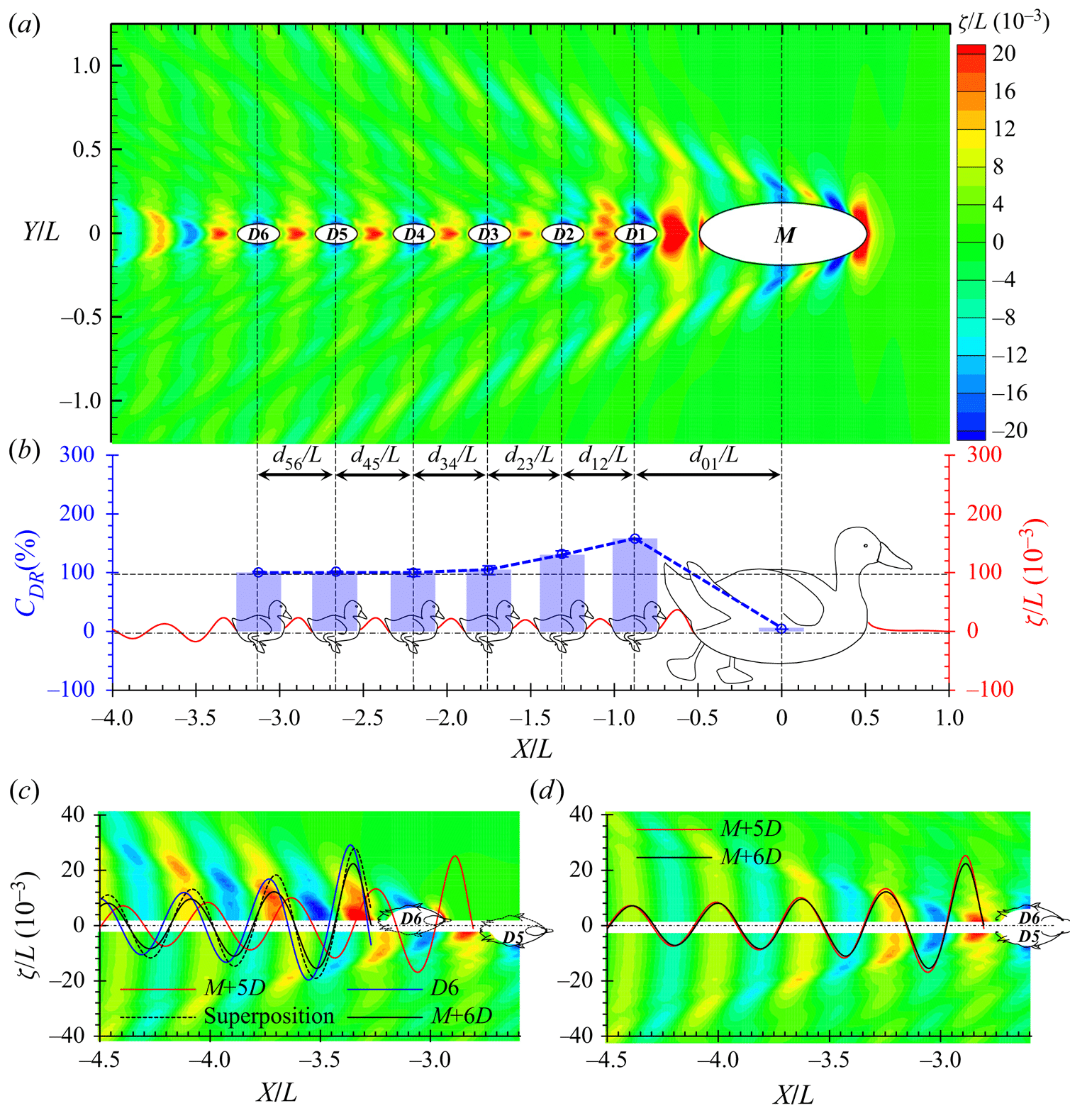 Credit: Wave-riding and wave-passing by ducklings in formation swimming - Cambridge University Press