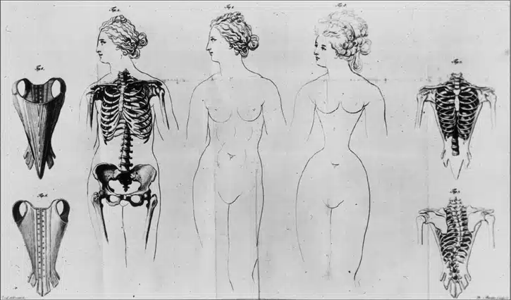 Come il corsetto in epoca vittoriana modificava l'anatomia femminile
