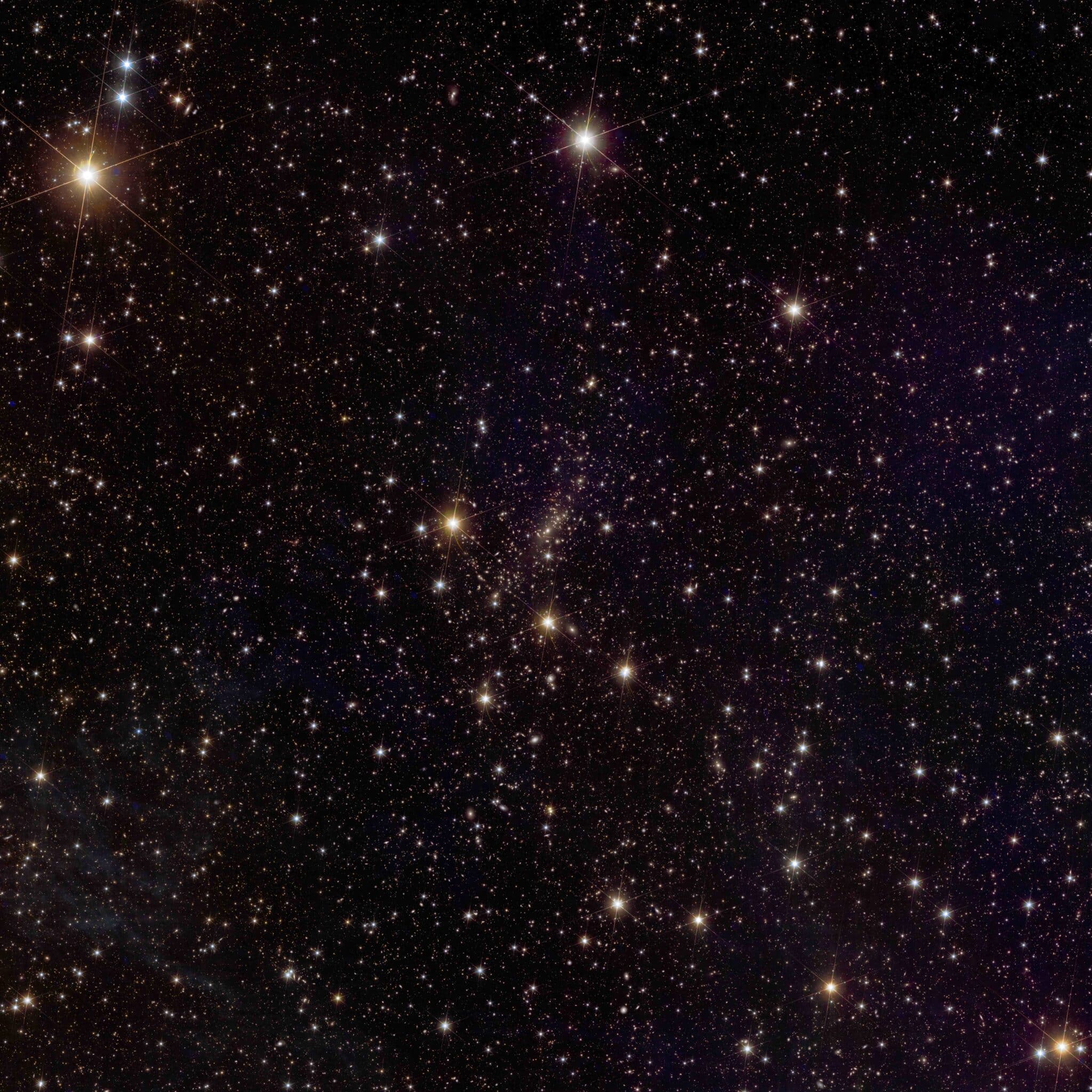 Euclid