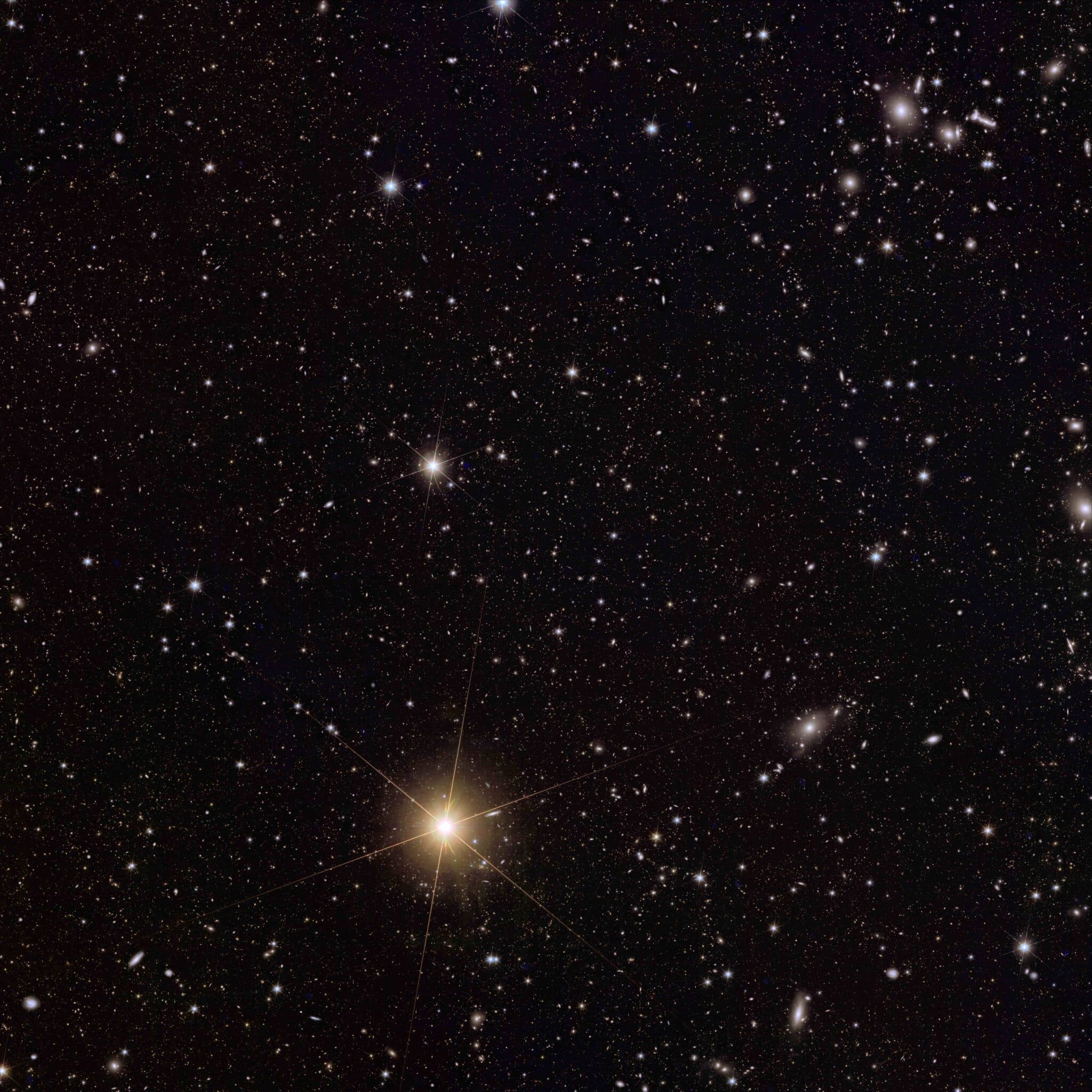 Euclid