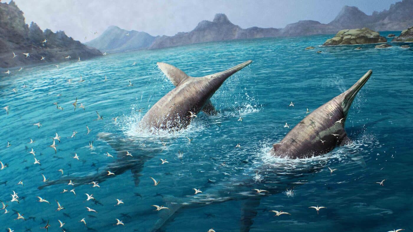 ittiosauro gigante