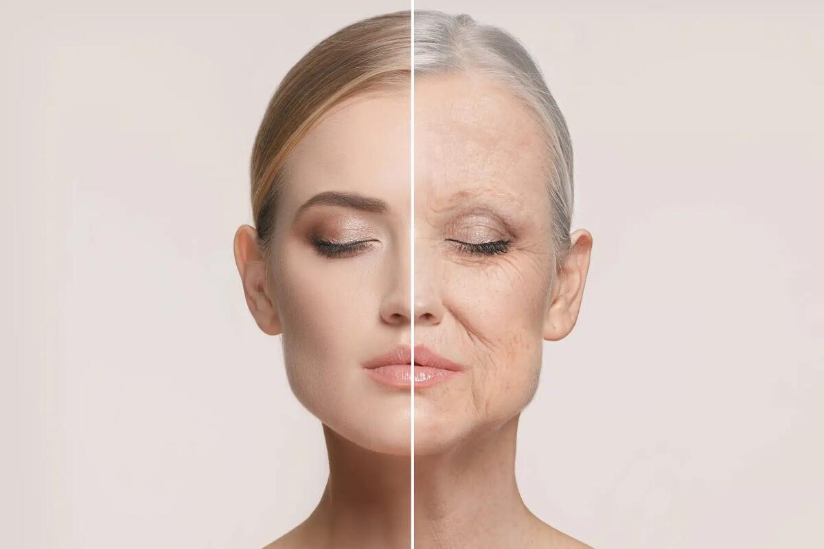 Mytho, il nuovo gene "anti-età" scoperto in Italia - 