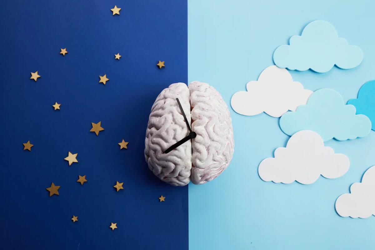 Nel sonno il cervello anticipa il futuro: non solo consolidazione dei ricordi - 