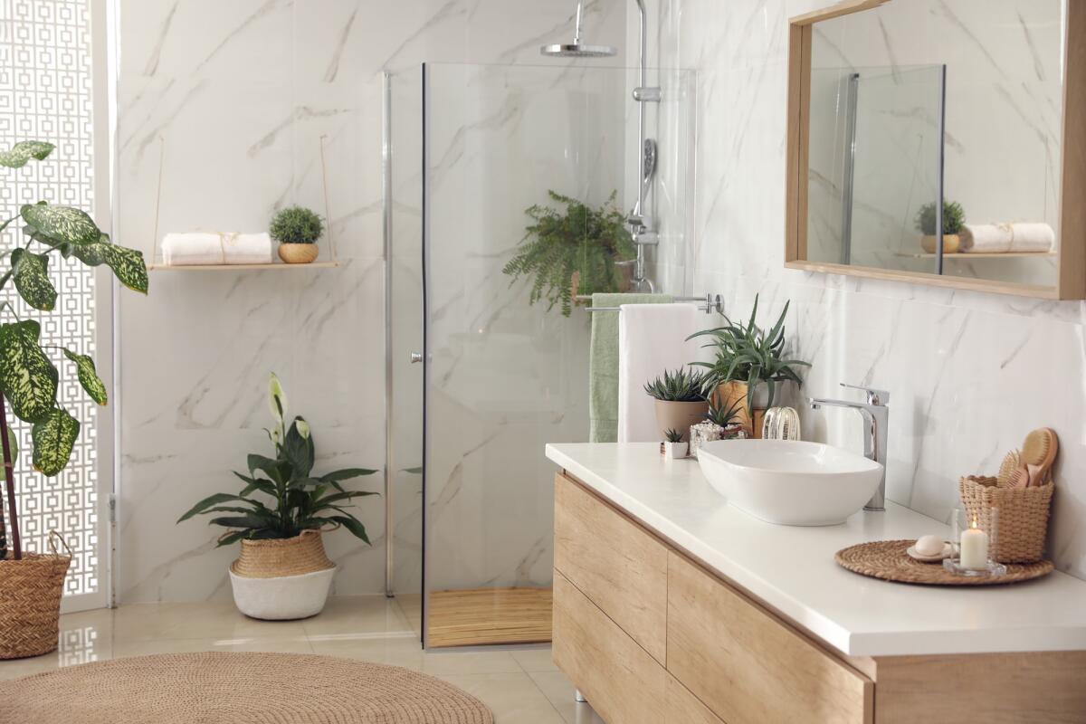 Arredamento del bagno: i colori del momento - Stylish bathroom interior with countertop, shower stall and houseplants. Design idea