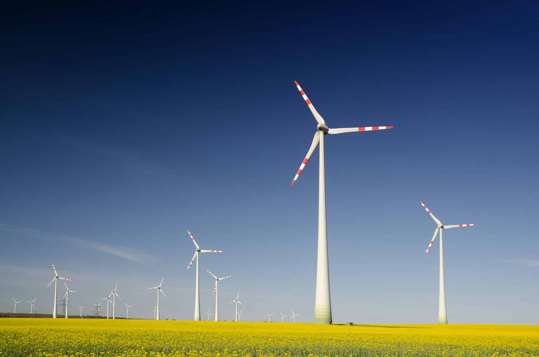 Green Software: il futuro sempre più sostenibile dell’informatica
