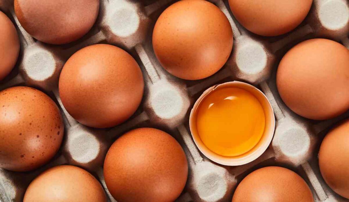 Uova fresche richiamate per rischio salmonella: ecco i marchi coinvolti - Uova fresche richiamate per rischio salmonella (Depositphotos foto) - www.sciencecue.it