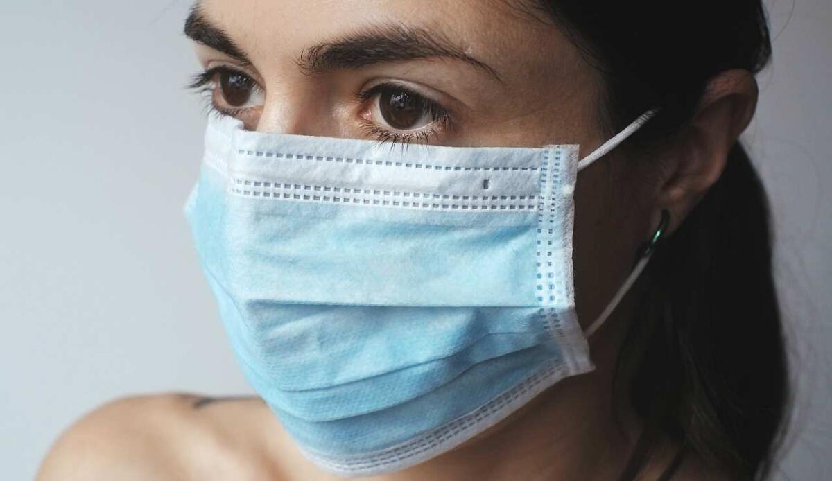 Il virus Nipah si sta diffondendo in India: ecco cosa sapere su questa malattia - Il virus Nipah si sta diffondendo in India: ecco cosa sapere su questa malattia (Pixabay foto) - www.biomedicalcue.it