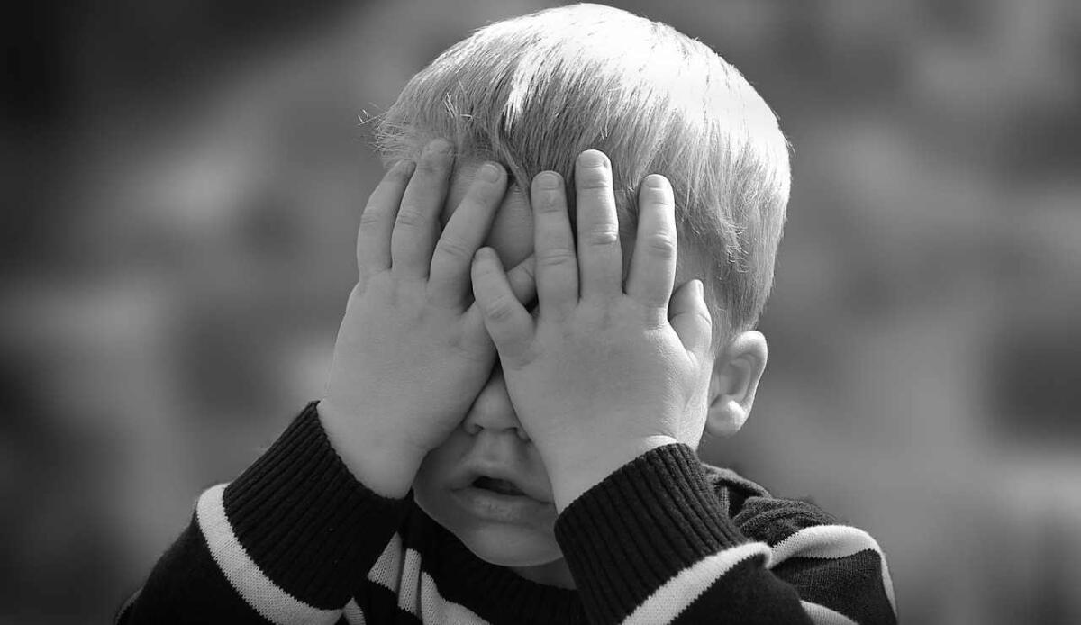 Un bambino ha ricevuto il primo dispositivo impiantato nel cervello in grado di curare l'epilessia - Bambino (Pixabay FOTO) - www.biomedicalcue.it