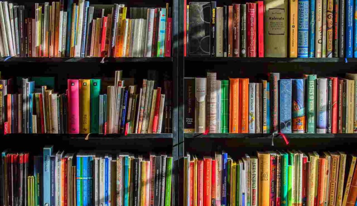 L’editoria mira alla sostenibilità, in vendita libri più sottili - Libreria piena (Pixabay) www.managementcue.it