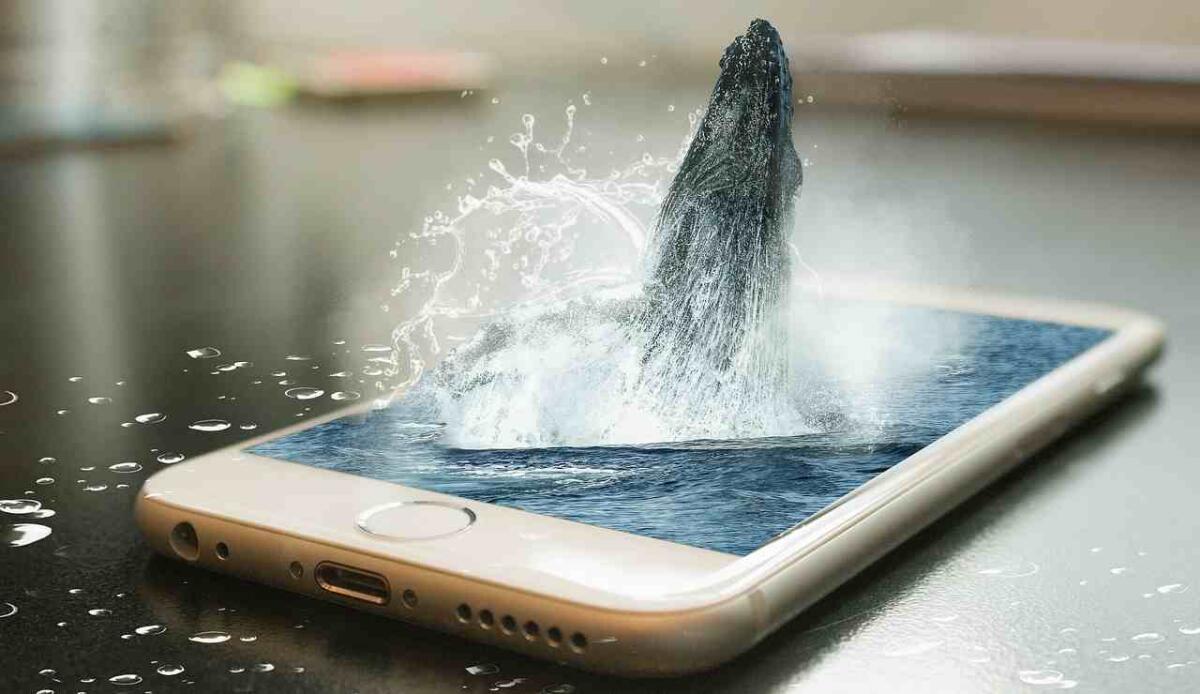Apple Intelligence sarà disponibile in Italia nel 2025 - Apple Intelligence sarà disponibile in Italia nel 2025 (foto Pixabay) - www.systemscue.it