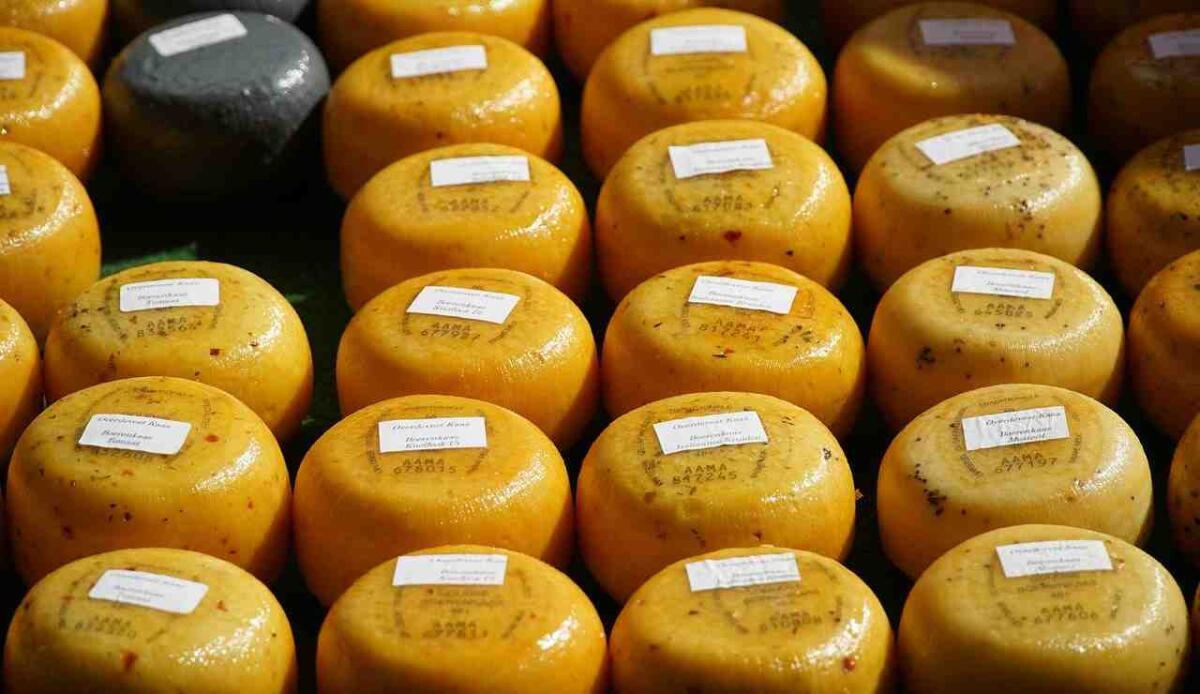 Il formaggio più antico ha 3500 anni ed è stato trovato su una mummia - Il formaggio più antico ha 3500 anni ed è stato trovato su una mummia (Pixabay Foto) - www.sciencecue.it