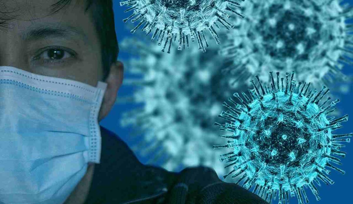 Xec è la nuova variante Covid che sta facendo preoccupare molti: ecco le sue particolarità - La nuova variante Covid (Pixabay FOTO) - www.biomedicalcue.it