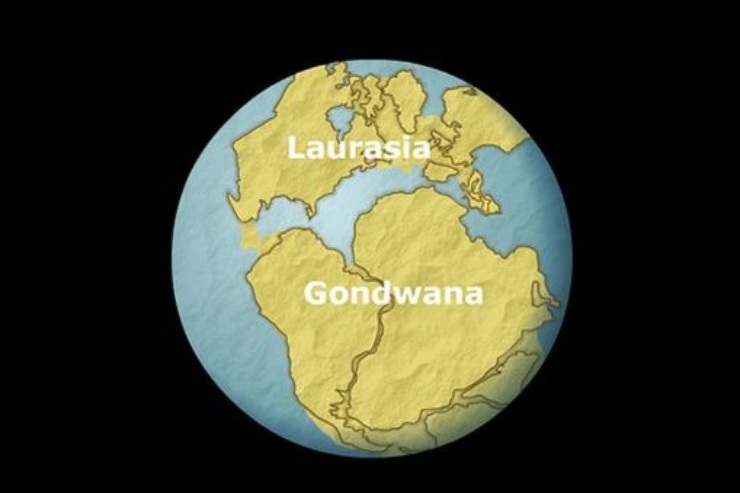 Il supercontinente Gondwana (Teknoring foto) - www.sciencecue.it