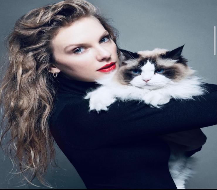Taylor Swift, da “Gattara senza figli” a “Regina degli MTV Awards”