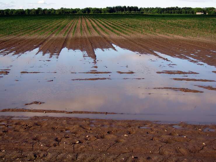 alluvione