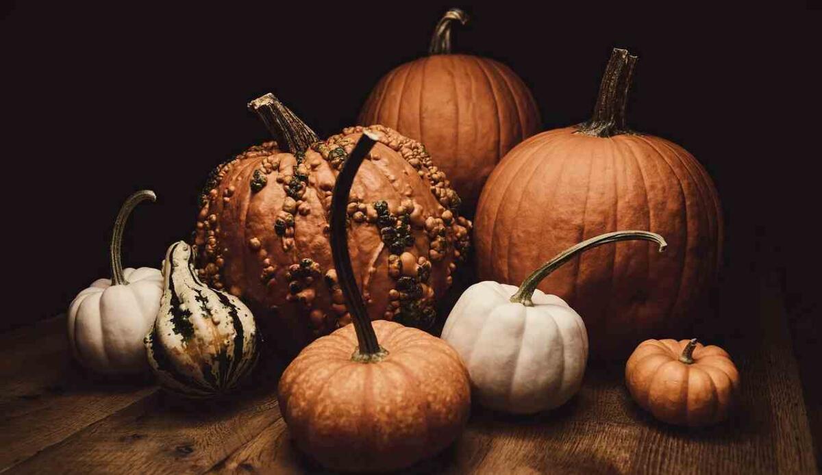Perché si festeggia Halloween? - Zucche di Halloween (Pixabay FOTO) - www.sciencecue.it