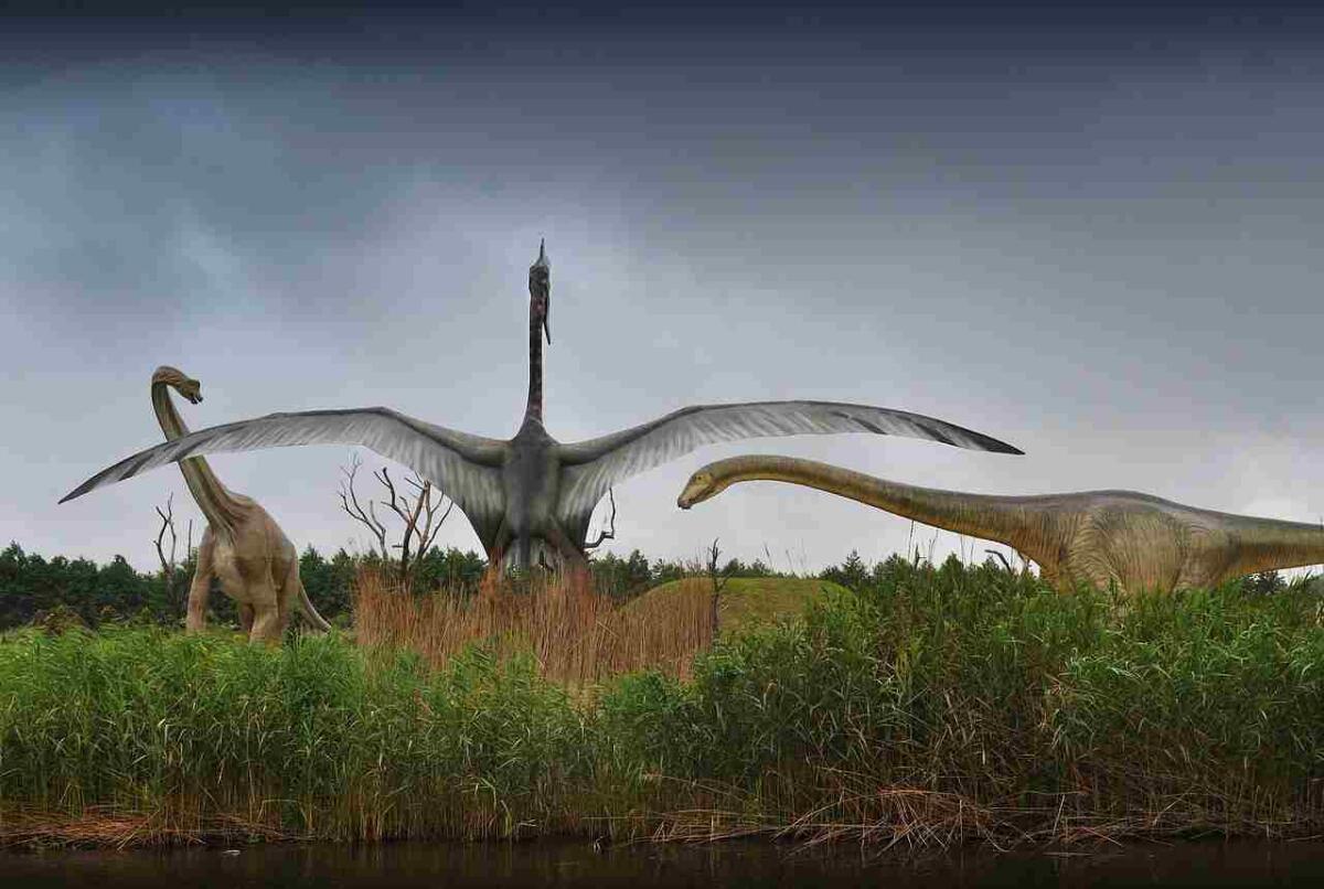 Brasile: scoperte nuove specie di dinosauro - Pterosauri e dinosauri (Pixabay FOTO) - www.sciencecue.it