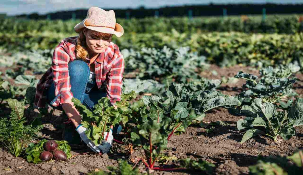 Francesco Lollobrigida annuncia: “Dal 2 Ottobre al via in Italia il servizio civile in agricoltura” - Giovane contadina (Depositphotos) www.managementcue.it