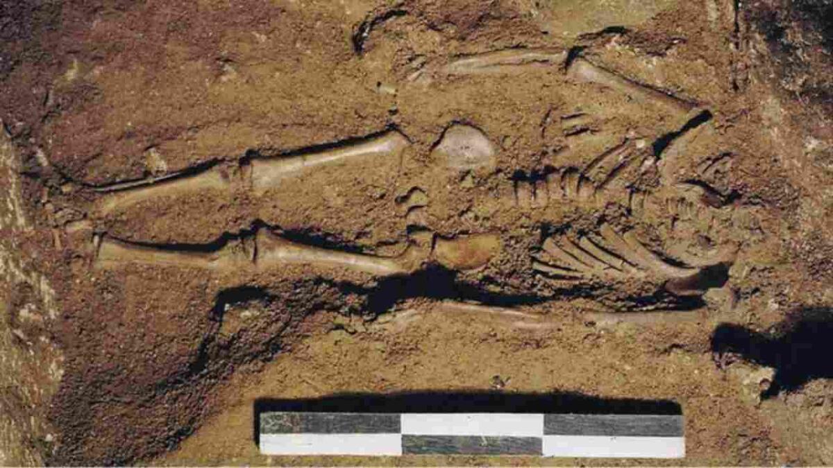 Il genoma più antico d'Italia appartiene a un bambino di 17.000 anni fa - Bambino di 17.000 anni fa (MSN foto) - www.biomedicalcue.it
