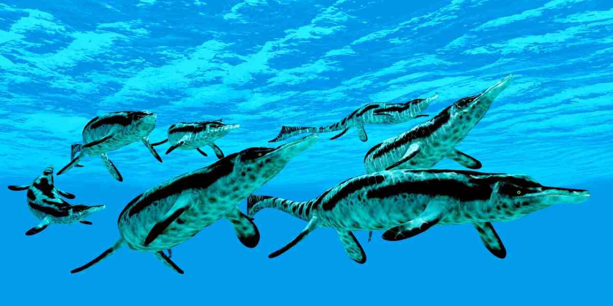 Gli scienziati hanno descritto completamente un enorme rettile marino vissuto nel Triassico medio - Un banco di ittiosauri che nuotano (Depositphotos FOTO) - www.marinecue.it