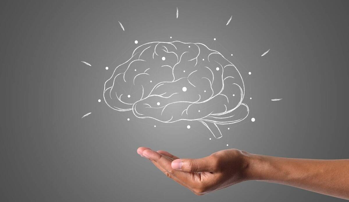 Sei di destra o di sinistra? L'orientamento politico non lo decidi tu ma la struttura del tuo cervello | Scopri come è fatta la tua - Sei di destra o di sinistra? L'orientamento politico non lo decidi tu ma la struttura del tuo cervello | Scopri come è fatta la tua (Pixabay foto) - www.biomedicalcue.it