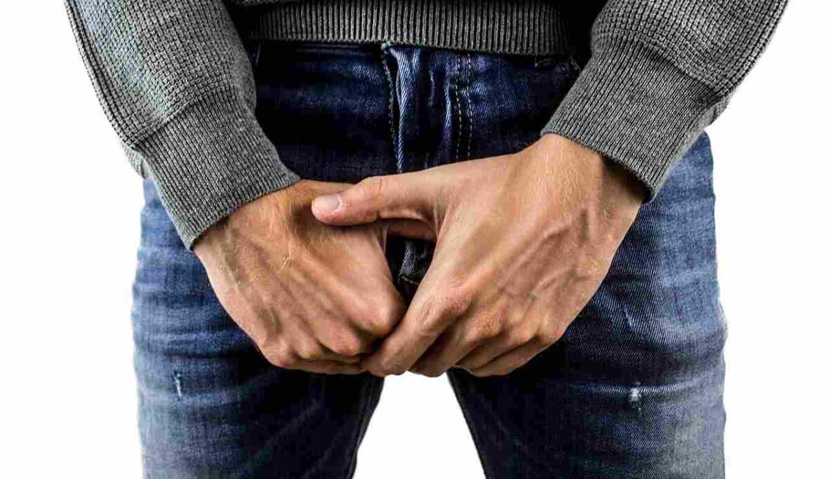 Il pene più antico mai ritrovato ha 450 milioni di anni - Il cavallo dei pantaloni (Pixabay foto) - www.sciencecue.it